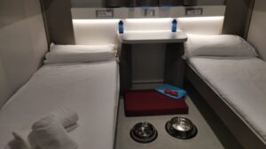 trasmediterranea pet friendly