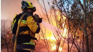 Bomberos trabajando en la zona