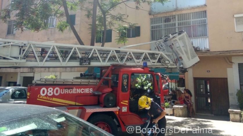 bomberos palma escalera