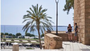 palmera-sol-buen-tiempo