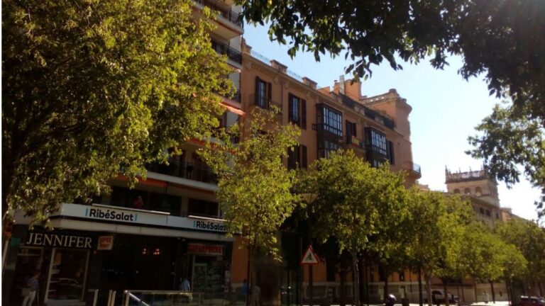 piso palma alquiler venta