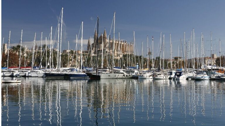 Palma barcos