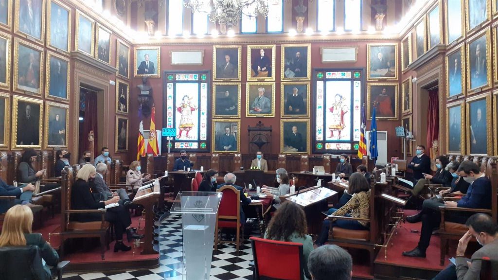 pleno cort nov 2020