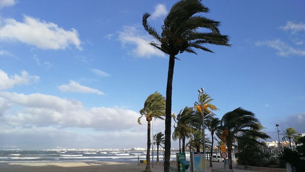 viento temporal