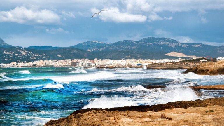 temporal mar
