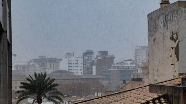 lluvia palma