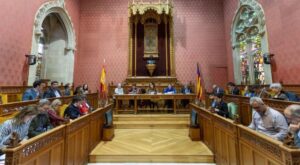 consell de mallorca 2020