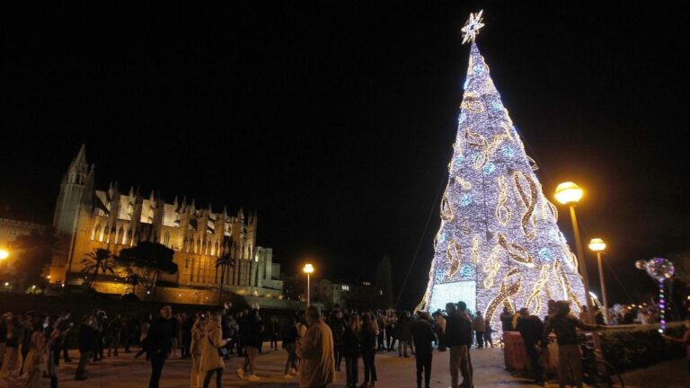 navidad palma luces
