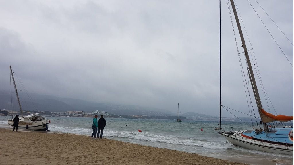 Vendaval viento Calvià 2
