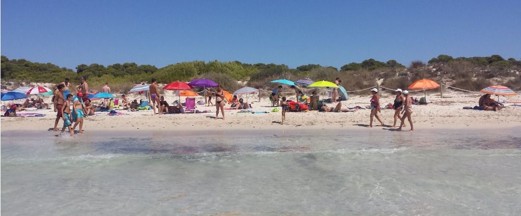 playa es trenc turistas turismo