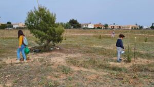 Archivo&acute;@Son Bonet Pulm&oacute; Verd