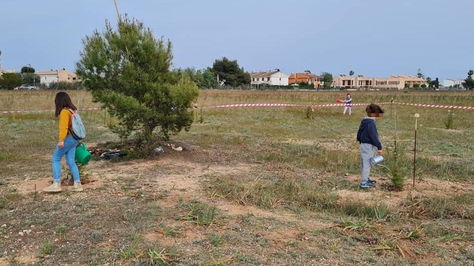 Archivo´@Son Bonet Pulmó Verd