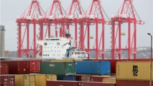 Estibadores Puerto Gr&uacute;a Contenedor