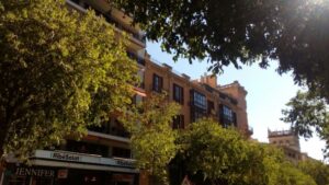 piso palma alquiler venta