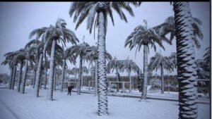 Nevada en Arabia Saud&iacute;