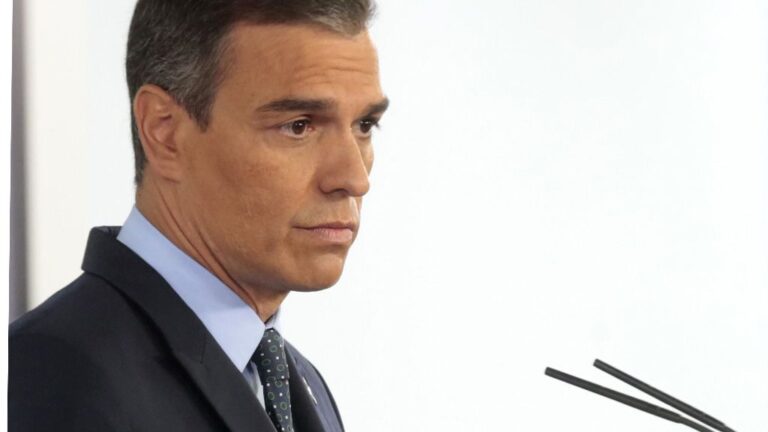 Pedro S&aacute;nchez