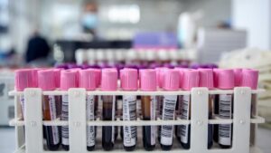 banco sangre donacion