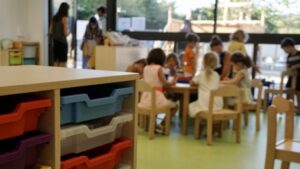 liceo frances colegio