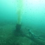 Posidonia, emisaris y fondeos