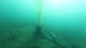 Posidonia, emisaris y fondeos