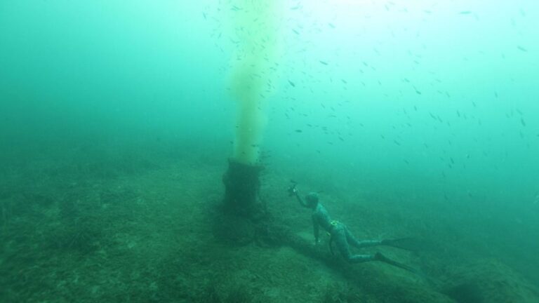 Posidonia, emisaris y fondeos