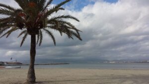 nubes playa mallorca palmera