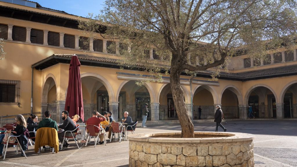 Mercado del Olivar