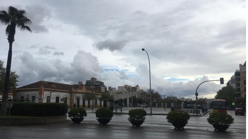 Palma nublado