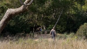 Suciedad Cruising Es Carnatge