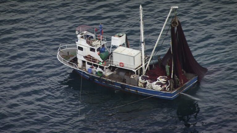 barco de pesca