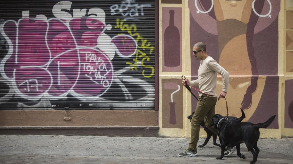 pasear perro