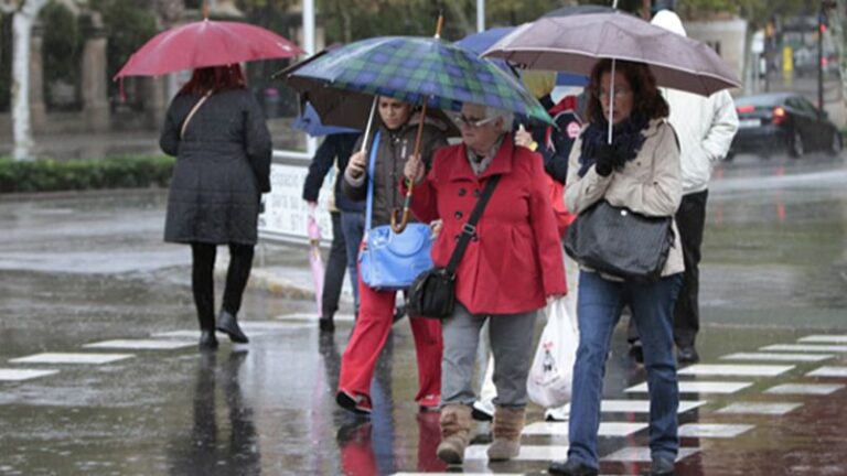 Frio y lluvia Palma