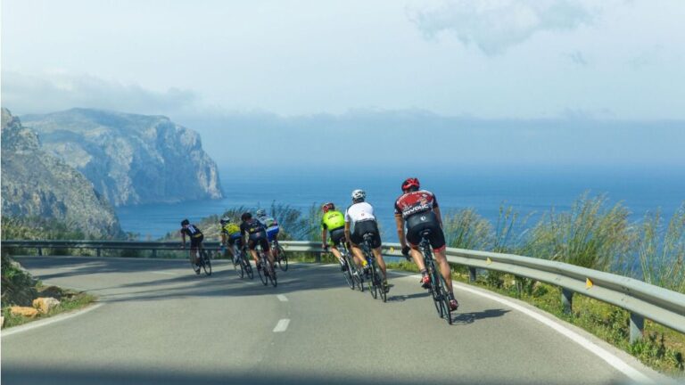 Imagen de archivo: Mallorca 312.