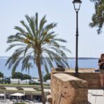 palmera-sol-buen-tiempo