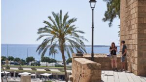 palmera-sol-buen-tiempo