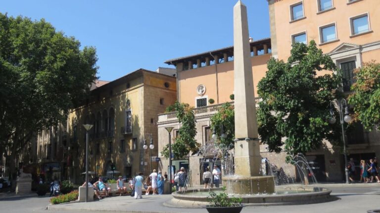 plaza de las tortugas sol cielo despejado buen tiempo palma