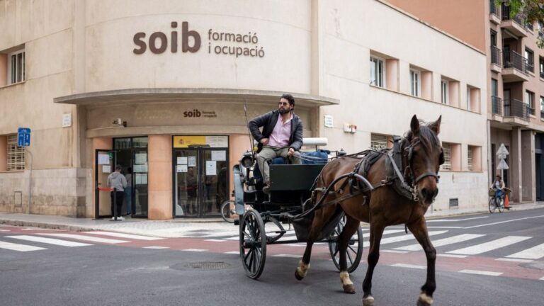 Calesa en el SOIB