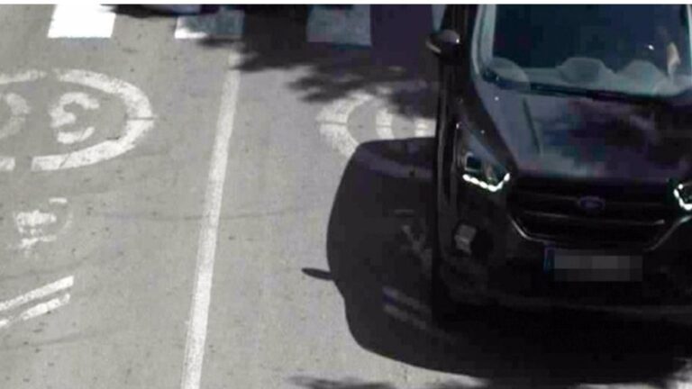 Foto: Policía Local de Ibiza