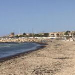 Muchas playas de Mallorca acumulan metros de posidonia