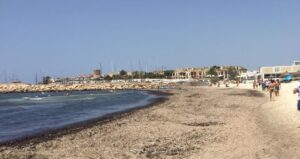 Muchas playas de Mallorca acumulan metros de posidonia
