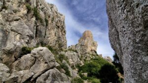 II Certamen de Fotografa Serra de Tramuntana