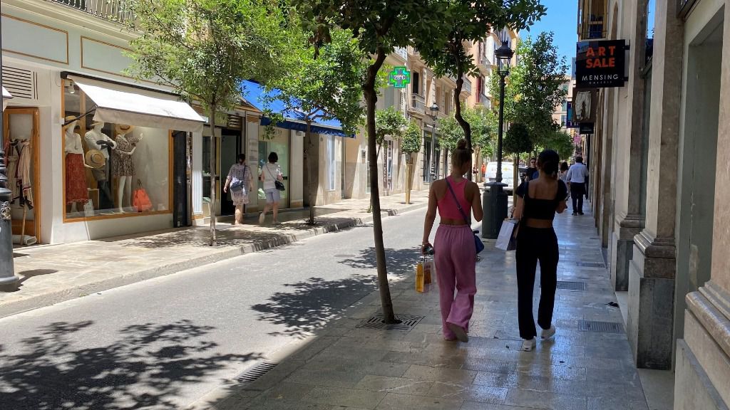 palma calle
