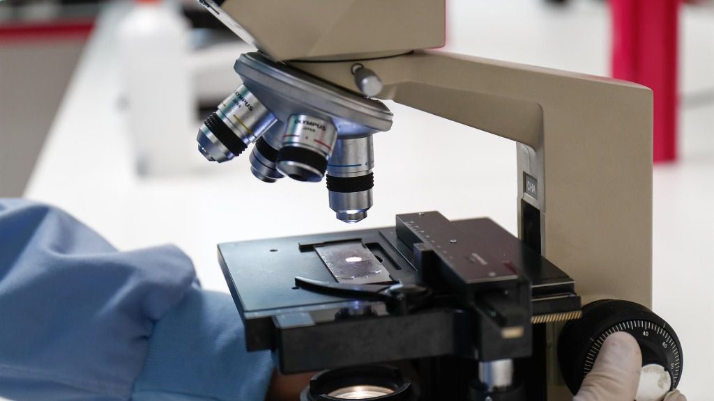 investigación coronavirus