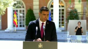 Pedro S&aacute;nchez