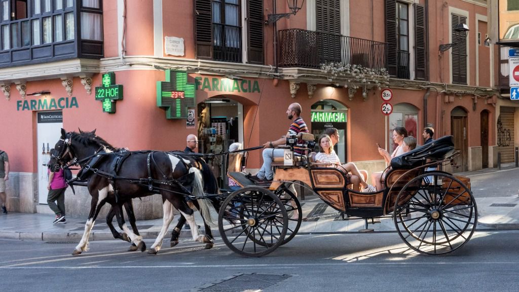 galera caballos