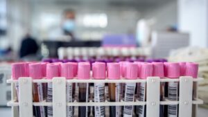 banco sangre donacion