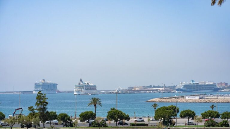 Cruceros