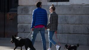 pareja perros divorcio