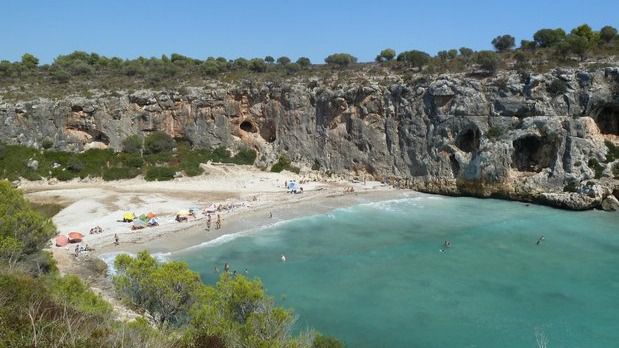 s'estanyol arta