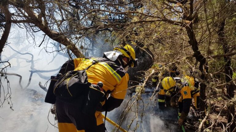 ibanat incendio es trenc